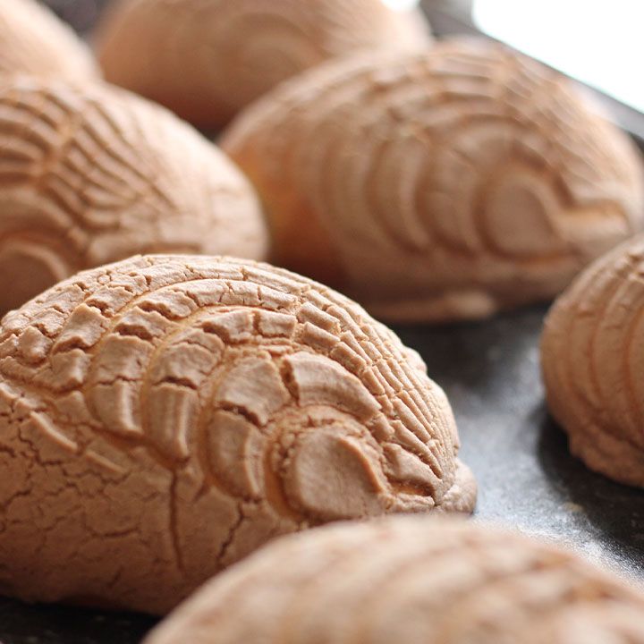 Concha de Chocolate